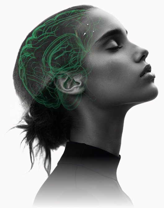 brainfo hero image 1